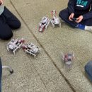 회천서초등학교 이미지