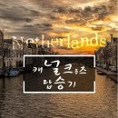 트립포미 이미지