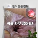 성원동물병원 이미지