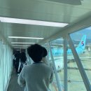 자이언트파마 | 21개월 아기와 제주도 여행