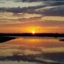 비비정예술열차 이미지