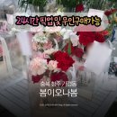 봄 <Garden of Music - 한국 가곡과 오페라 아리아로 꽃피우는 음악의 정원> | 청주 가경동 꽃집 봄이오나봄 카네이션 후기