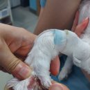 (주)라온메디칼 이미지