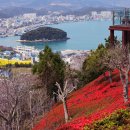 완도타워 이미지