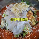 선영이네 - 강서구 화곡로 194-48 | 썬밸리cc 맛집 선영이네물회전문점 봉포해수욕장 맛집 혼밥 후기