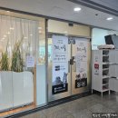 701아를고양이카페(cat in the art) | 경기 하남[701아를고양이카페 cat in the art]하남풍산역 고양이 상주카페 추천