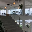 비에노즈 이미지