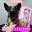 조공 신제품 오키로스틱 핑크 후기 (언니 손 먹방까지,,,)