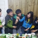 비둘기농원