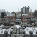 7497 이미지