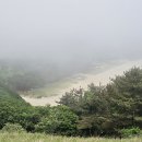 토끼섬 티스토리
