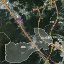 판교허가 이미지