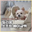 글로소프트 | 강아지가방 카시트까지 해결한 밀리옹 소프트 베이글백 한달 사용후기