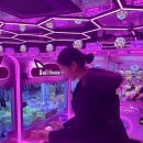 뽑기언냐 이미지
