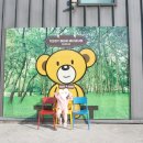 사파리사진관광주점 | 2박 3일 군산, 광주 여행 둘째 날 ① - 군산 테디베어뮤지엄