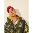 더 레이 카카오 검색결과