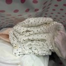 평일 남대문시장 아기옷 쇼핑 후기, 브랜드 추천 / feat. 콘, 파이, 아오스타, 멜리스