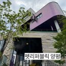 리퍼블릭 | 양평 펫리퍼블릭 애견카페 솔직 후기