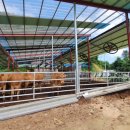 모범축산 이미지