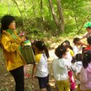 숲유치원 이미지