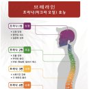 바른테라피