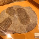 밀양대공원로 이미지