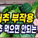 양배추 부작용! 이미지