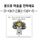수원-0195 네이버블로그