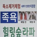 힐링숲라파 이미지