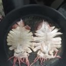 꾸버꾸버 이미지