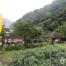 들꽃나라펜션