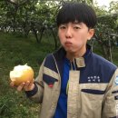 청춘농원 이미지