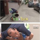 매일 고등어 물어가는 고양이 나비 이미지