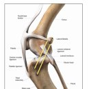 박순석동물메디컬센터 이미지