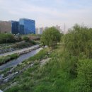 CU 분당삼환점 | [판교 꽃집] 분당 예쁜 꽃집 '어텀브플라워샵' 꽃다발 후기