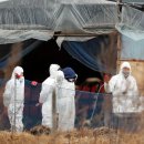 이종행농장 이미지