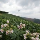 월봉농장 이미지