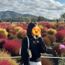 [죽전미용실후기] 메종드보떼 매직후기 / 한결디자이너