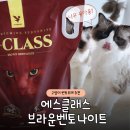 (주)에스.씨.에스 | [고양이모래 추천] 에스클래스 브라운 벤토나이트 솔직 사용 후기