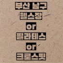 비디피트 이미지