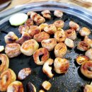 코끼리생막창 | 광주 광산구 도산동 막창맛집 코끼리생막창 내돈내산 리뷰