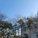 조주기능사(토) 이미지