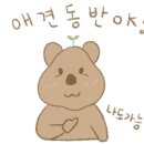 비비큐대전 이미지