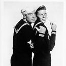 CITADEL Ca&Fe 이미지