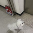 참사리맛집 이미지