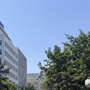 주류성빌딩, 파이브가이즈 강남 | <서울 맛집>취향대로 주문이 가능한 신논현역 햄버거 맛집 파이브가이즈 강남