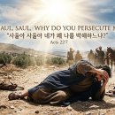 Bible Reading - Acts 22:1~10 이미지