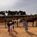 선정반 김주아 주말이야기❤️ 이미지