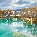 여름 삿포로 여행 일일 버스투어 비에이 후라노 코스 / 클룩 할인코드 6월 카카오페이