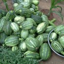 매원중학교 이미지